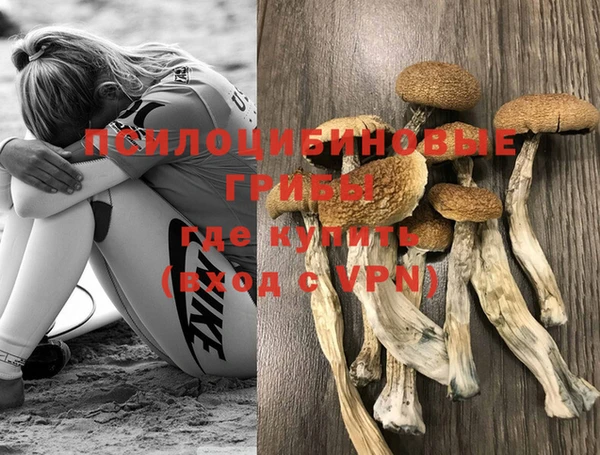 МДМА Осташков
