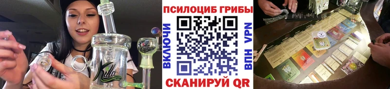 Псилоцибиновые грибы Cubensis Бакал